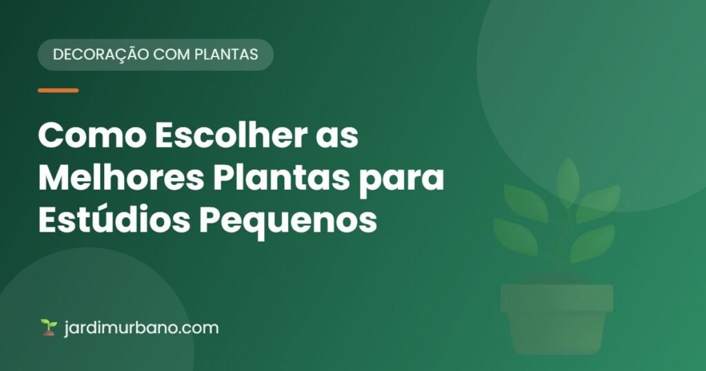 Como Escolher as Melhores Plantas para Estúdios Pequenos